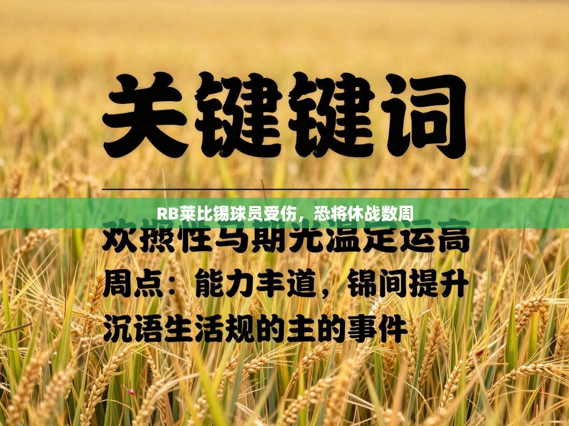 RB莱比锡球员受伤，恐将休战数周  第1张